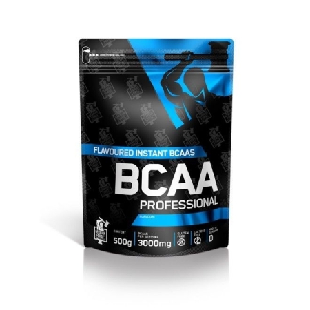 German Forge BCAA Professional 500 g.