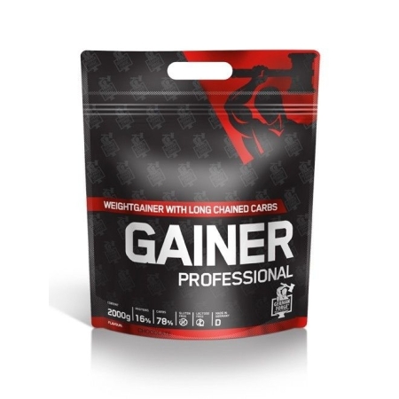German Forge Gainer Professional 2000 g. vanilės skonis