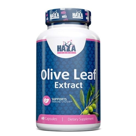 Haya Labs Olive Leaf  Extract 60 kaps. (Alyvuogių lapų ekstraktas)